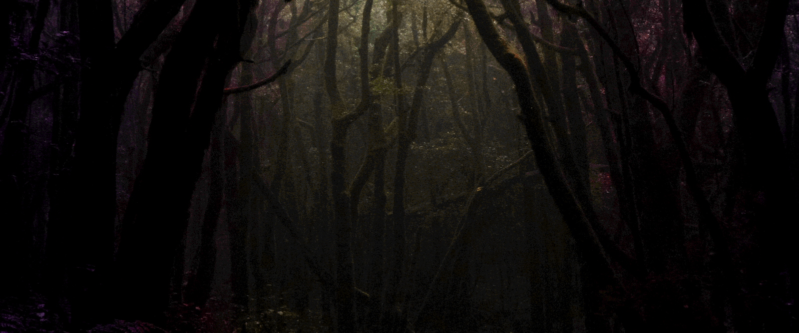 Hero image of a dark forest with light in the centre and a review of the Power Wielders Books across the centre in script.